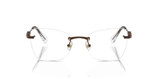 Swarovski Eyeglasses SK1014