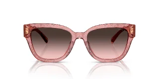 Coach Sunglasses HC8379U