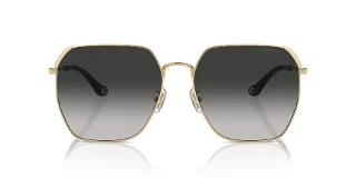 Coach Sunglasses HC7165D