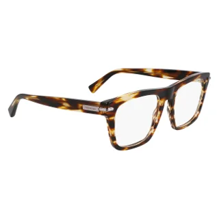 Salvatore Ferragamo Eyeglasses SF3015