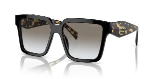 1AB0A7 Black
