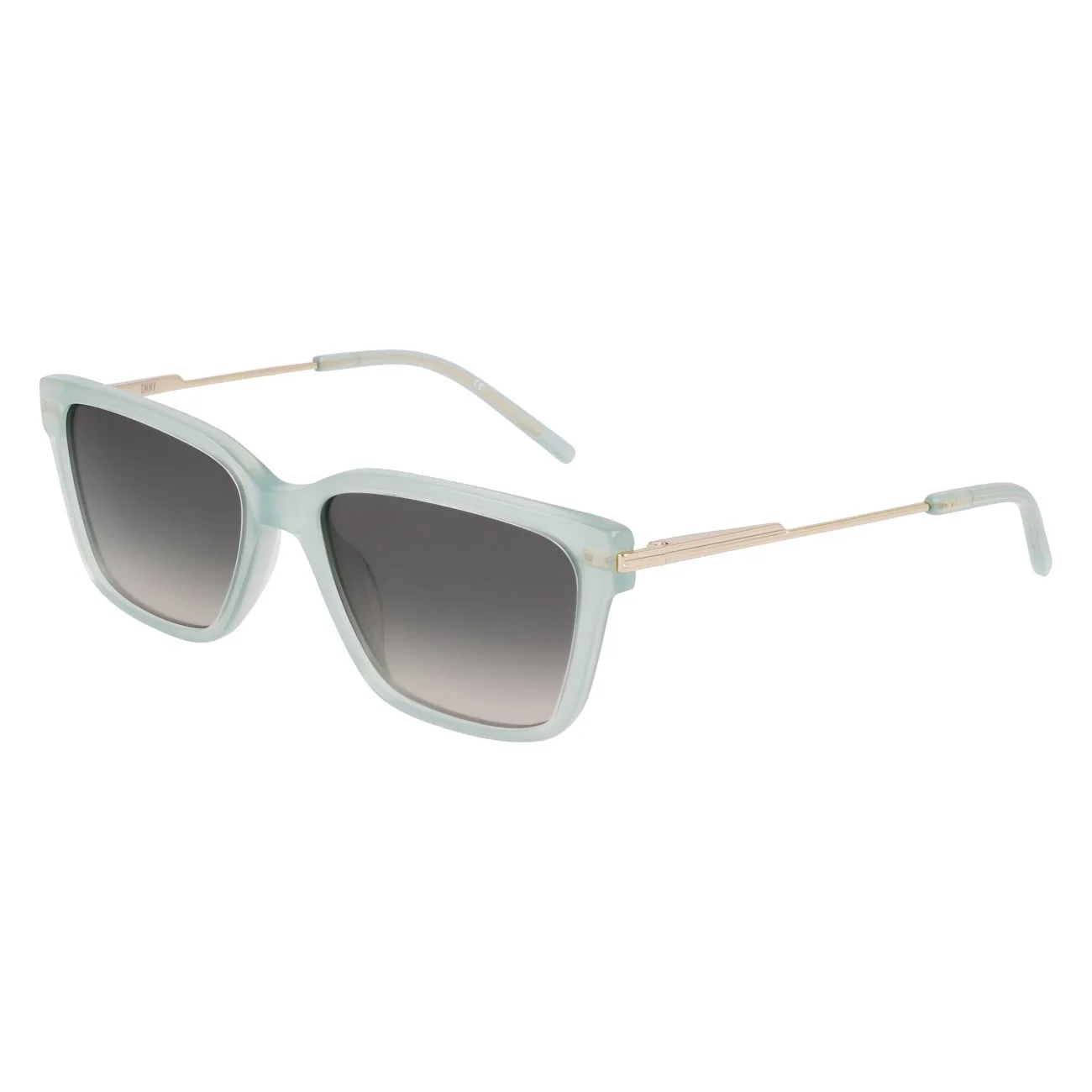 Dkny Sunglasses DK713S