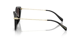 Michael Kors Sunglasses MK2246U