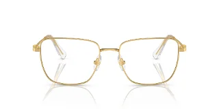 Swarovski Eyeglasses SK1003