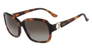 Salvatore Ferragamo Sunglasses SF704SR