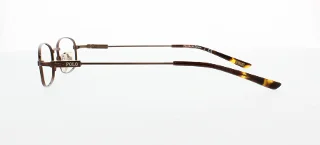 Polo Eyeglasses PP8021