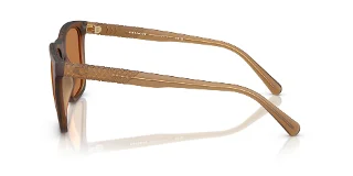Coach Sunglasses HC8427U