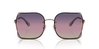 Coach Sunglasses HC7150D