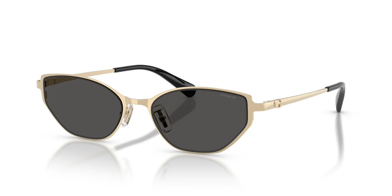 Coach Sunglasses HC7196D