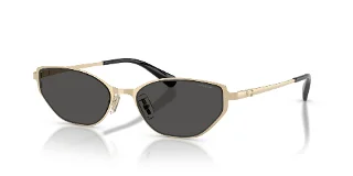 Coach Sunglasses HC7196D