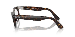 Ray Ban Eyeglasses RX2242VF
