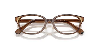 Swarovski Eyeglasses SK2040D