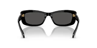 Swarovski Sunglasses SK6008
