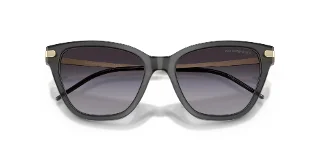 Emporio Armani Sunglasses EA4251F