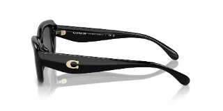 Coach Sunglasses HC8390U