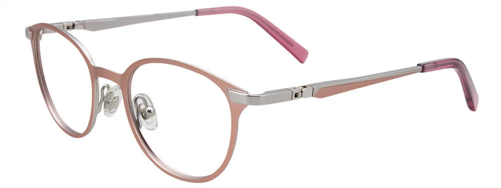 Easyclip Eyeglasses EC489