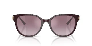 Jimmy Choo Sunglasses JC5057D
