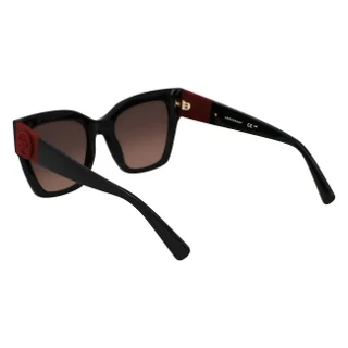 Longchamp Sunglasses LO762S