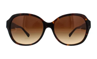 Coach Sunglasses HC8150 L133