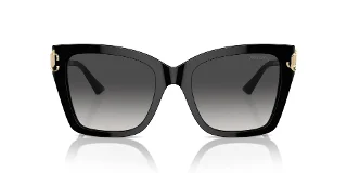 Jimmy Choo Sunglasses JC5012F