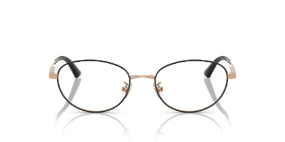 Jimmy Choo Eyeglasses JC2009D