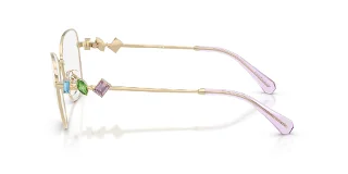 Swarovski Eyeglasses SK1025