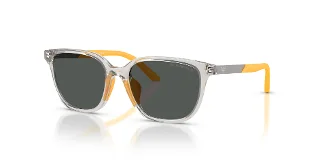627987 Transparent Grey