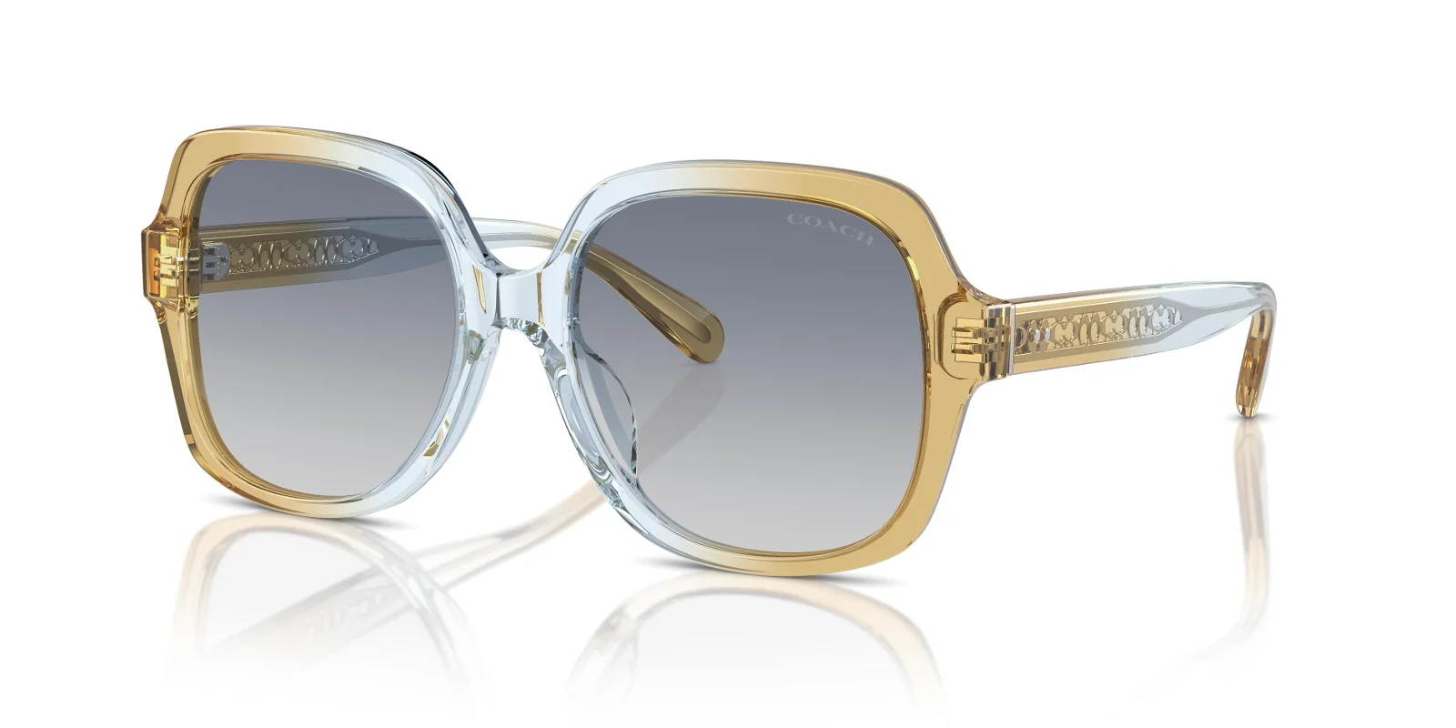 Coach Sunglasses HC8395U