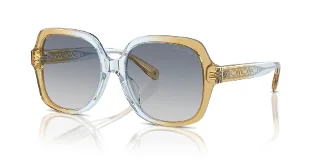 Coach Sunglasses HC8395U