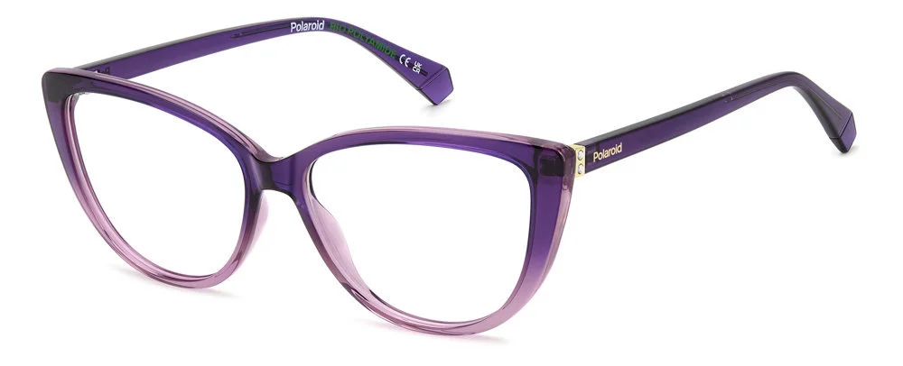 Polaroid Eyeglasses PLD D543
