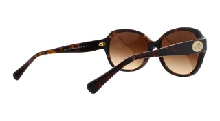 Coach Sunglasses HC8150 L133
