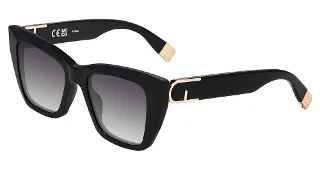 Shiny Black (0700)