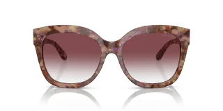 Coach Sunglasses HC8264