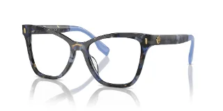 1957 Blue Tortoise