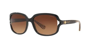Coach Sunglasses HC8169 L149