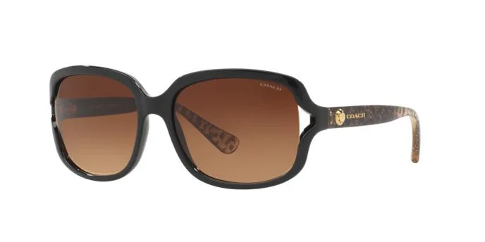 Coach Sunglasses HC8169 L149
