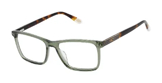 107 Olive