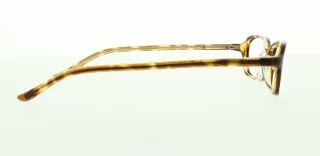 Polo Eyeglasses PP8502
