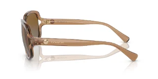 Coach Sunglasses HC8169