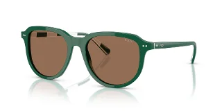 Polo Sunglasses PH4225
