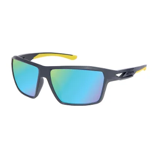 Head Sunglasses 42506P
