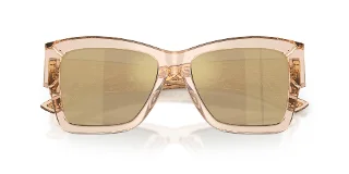 Dolce & Gabbana Sunglasses DG4493
