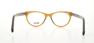 Dkny Eyeglasses DY4628