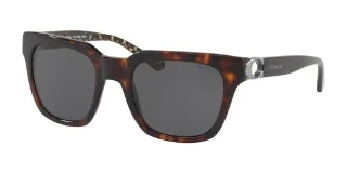 550787 Dark Tortoise