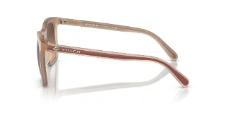 Coach Sunglasses HC8374U
