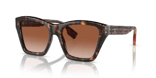 300213 Dark Havana