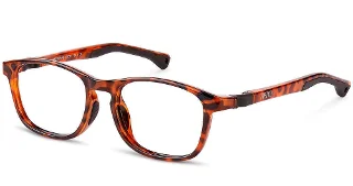 16-Indestructible Power Up 3.0 Caretta Turtle Brown