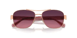 Coach Sunglasses HC7161