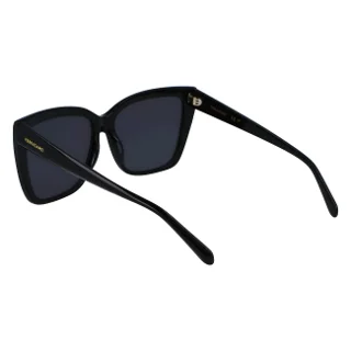 Salvatore Ferragamo Sunglasses SF1102S