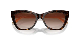Emporio Armani Sunglasses EA4176